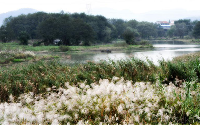 标题：沙溪春涨
浏览次数：128
发表时间：2013-09-11